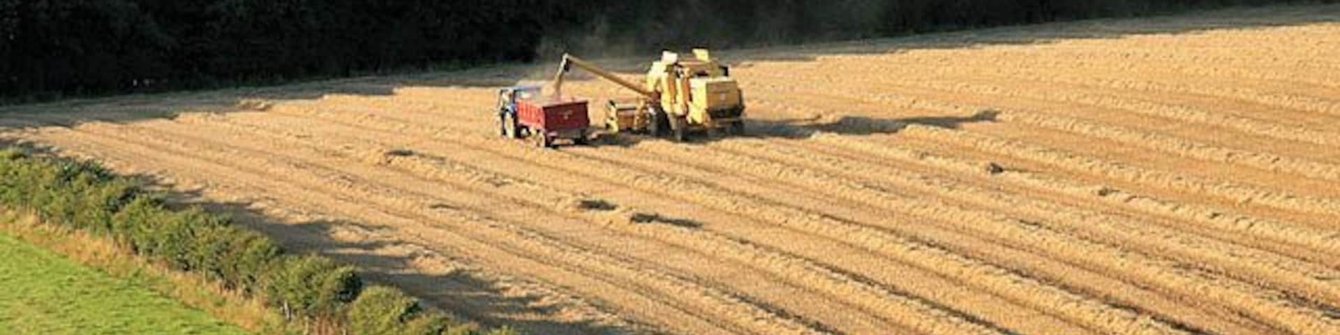 Harvesting at Lilliesleaf The farmer is taking advantage of a dry day to harvest this field at Round Knowe. The weather for the past few weeks has been very wet.