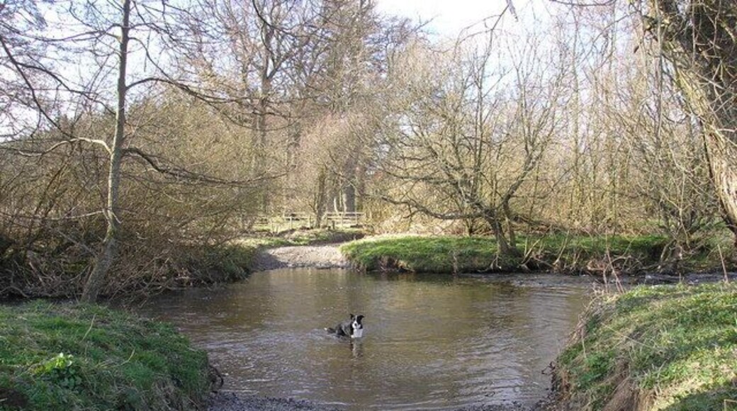 Ford over the Ale Water