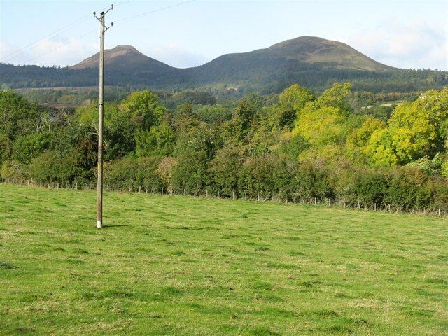 The view from Tweed Horizons Looking across fields and woodland towards the Eildon Hills.
