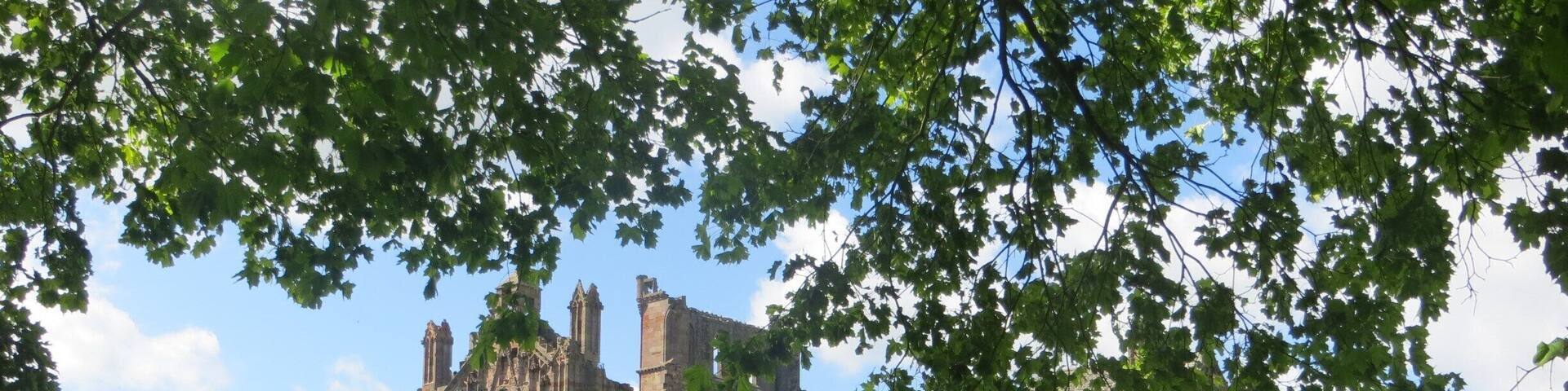 Melrose Abbey