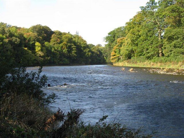 The River Tweed Looking upstream from just off St Cuthbert's Way at St Boswells.