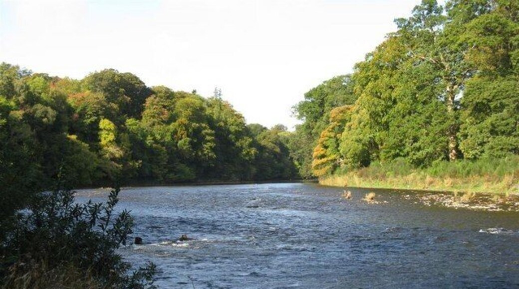 The River Tweed Looking upstream from just off St Cuthbert's Way at St Boswells.