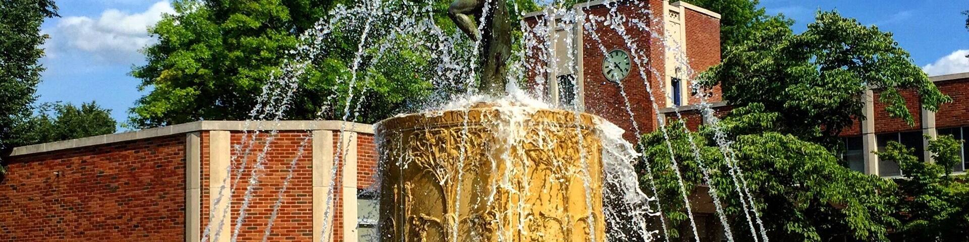 Beautiful campus in Finger Lakes region with awesome Gothic architecture. Be ready for purple everywhere!