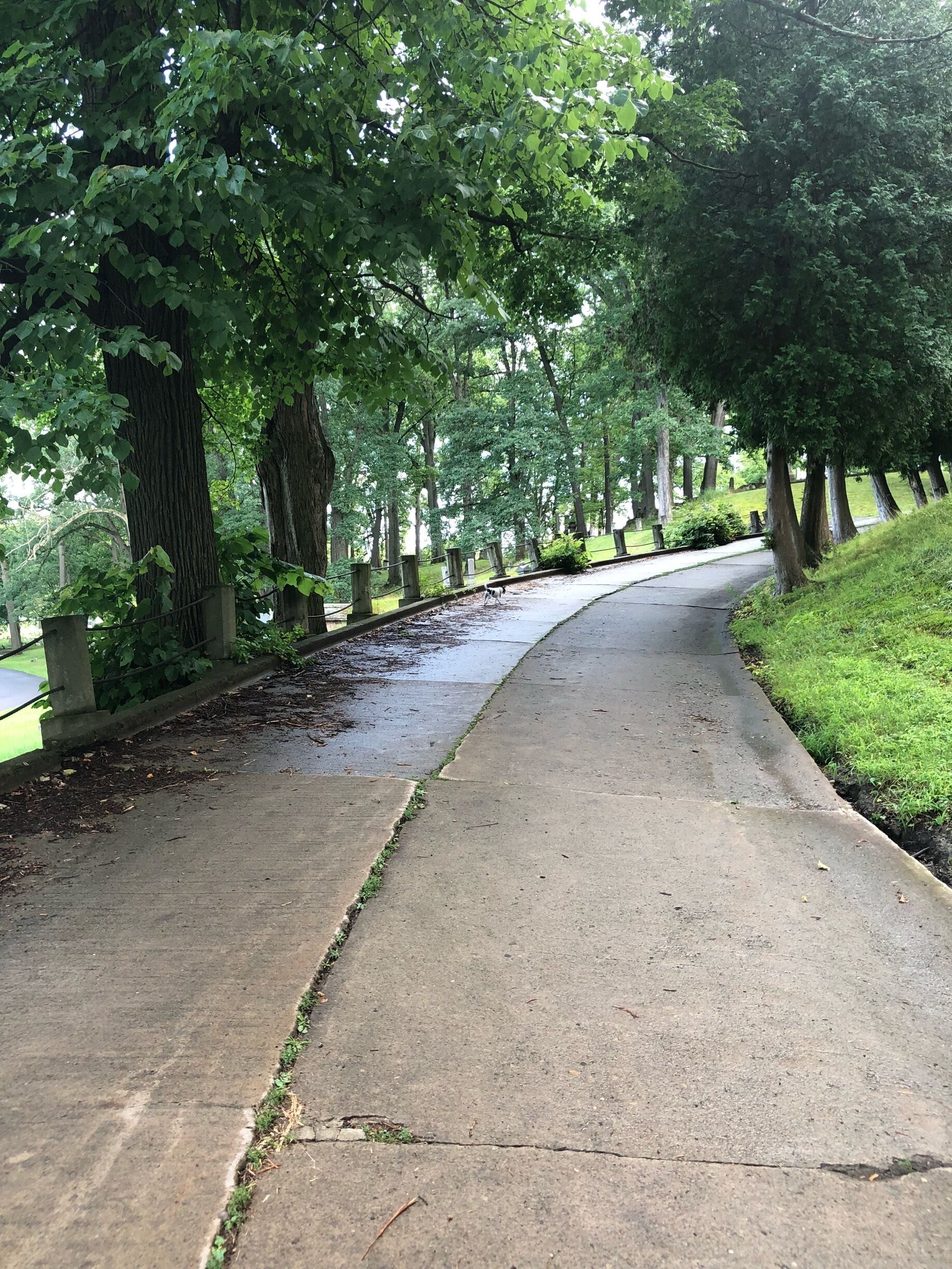 It’s like a city for the dead.