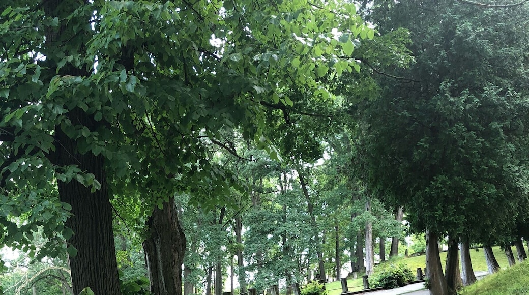 Itâs like a city for the dead.