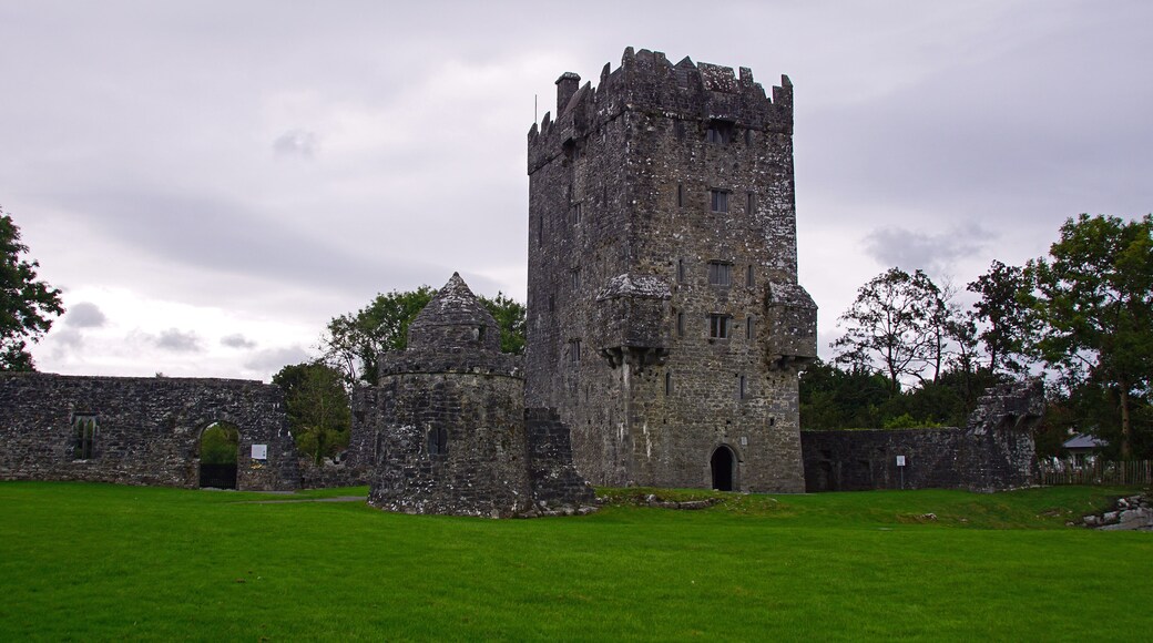 Aughnanure Castle
