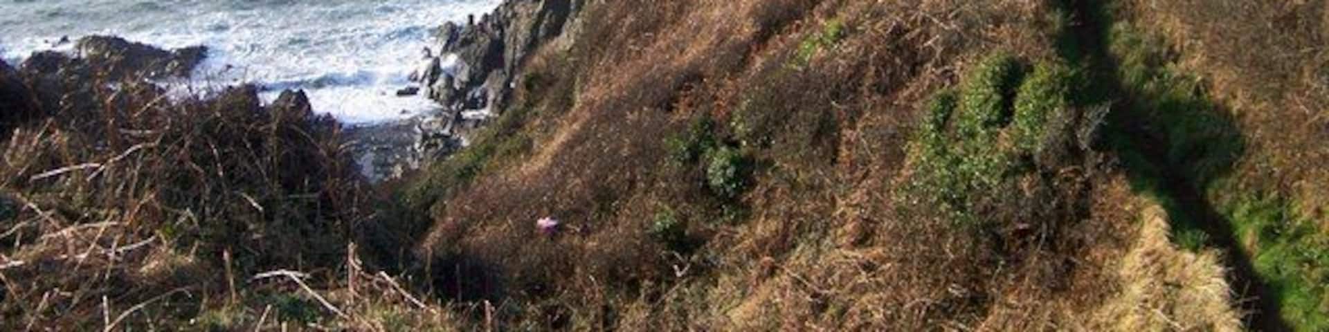 Dunskey castle - built ca. 1510