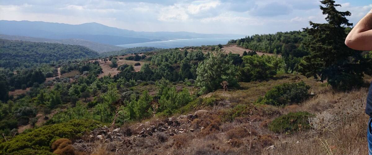 A mountainous landscape with dense forests, a clear sky, and distant mountains.