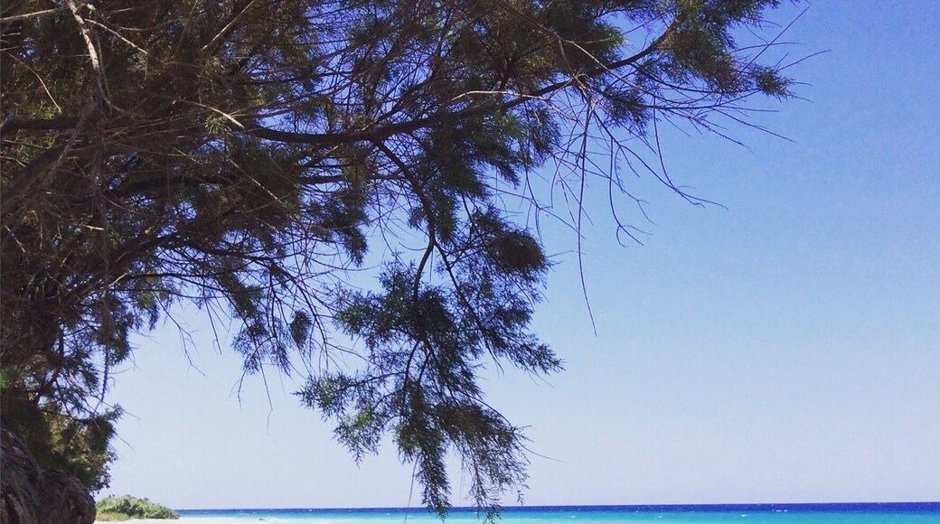In the shade on the beach