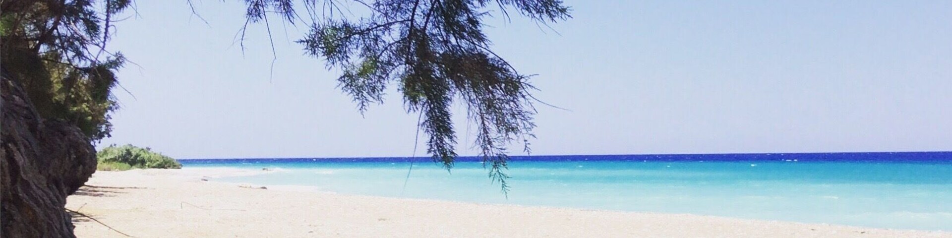 Una playa con un bote amarillo, agua azul cristalina y un árbol.