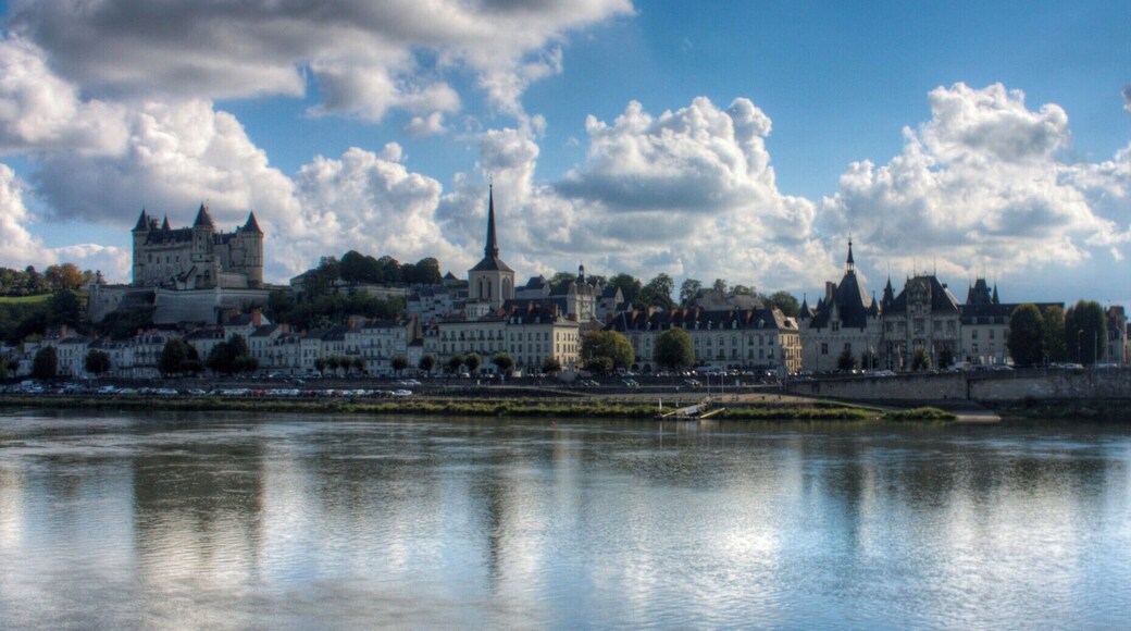 The view across the Loire River, to the town of Saumur