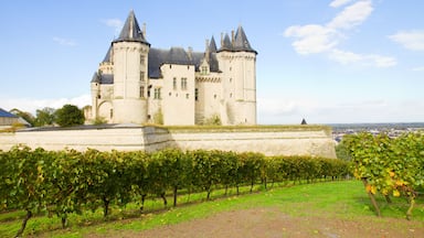 Saumur castle and vineyards in the Loire Valley, France