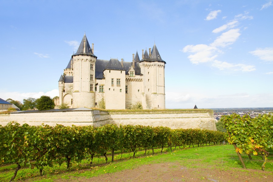Saumur castle and vineyards in the Loire Valley, France