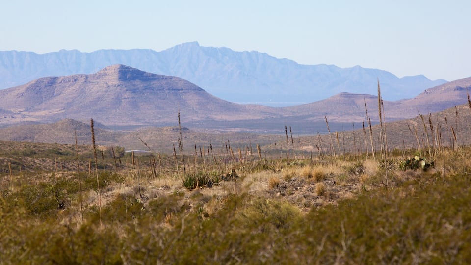 A desert landscape with sparse vegetation and distant mountains.
