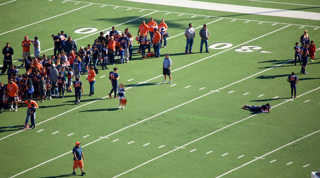 El Paso featuring a sporting event