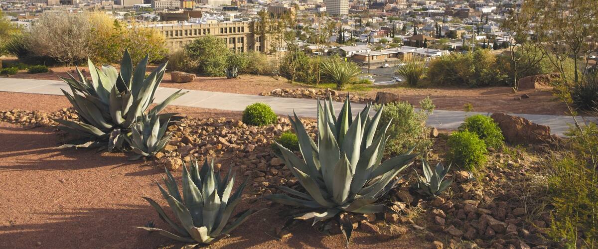 El Paso trong đó bao gồm thành phố và cảnh sa mạc