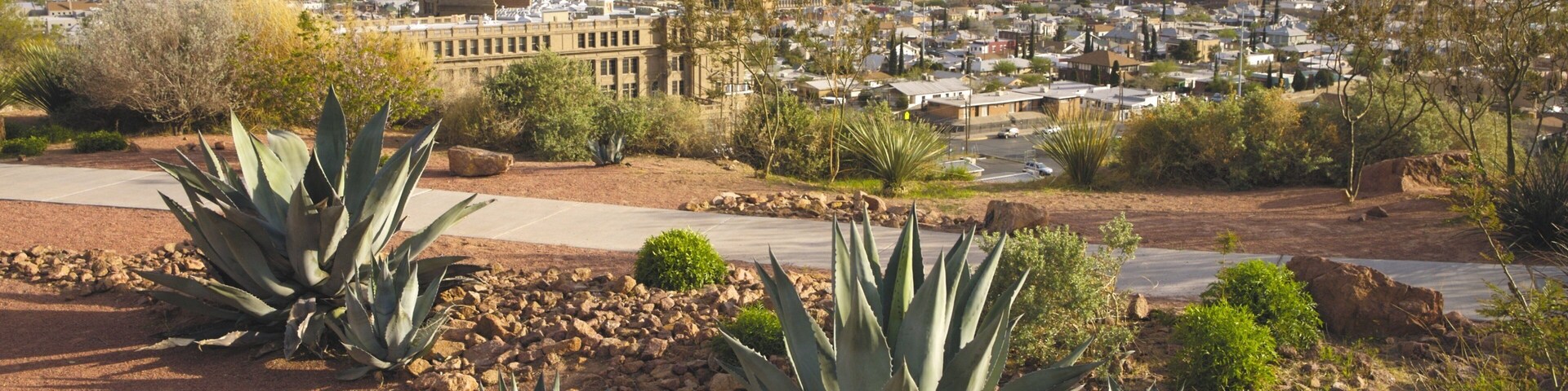 El Paso which includes a city and desert views