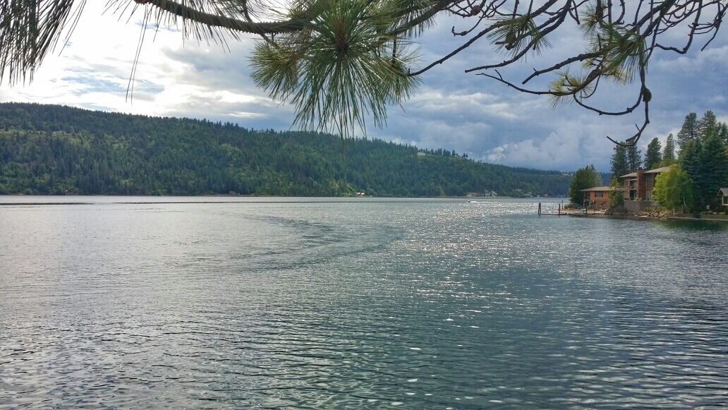 We made a quick stop at Rogers Burgers & ice cream for some delicious milkshakes and had a nice drive around the lake. It made for a fun afternoon!
