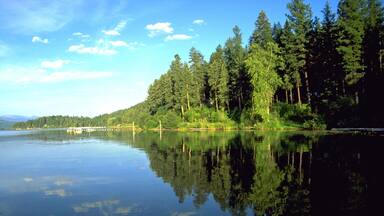 Harrison que incluye un lago o abrevadero
