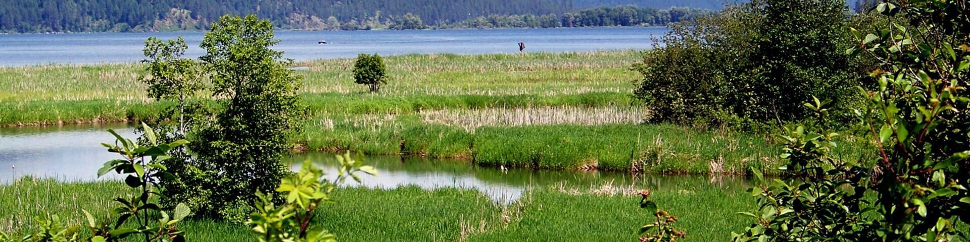 A lake surrounded by lush greenery and distant mountains.