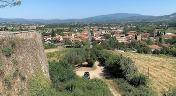 Arezzo, Italy 🇮🇹