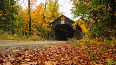Martins Mill Bridge, Hartland