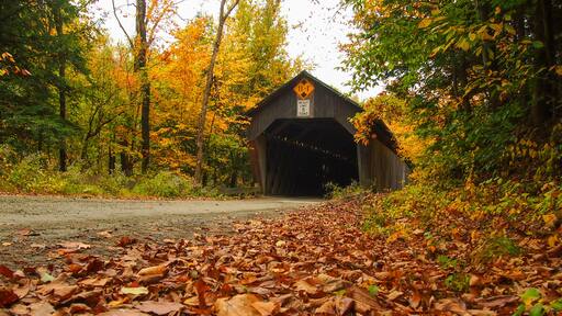 Hartland