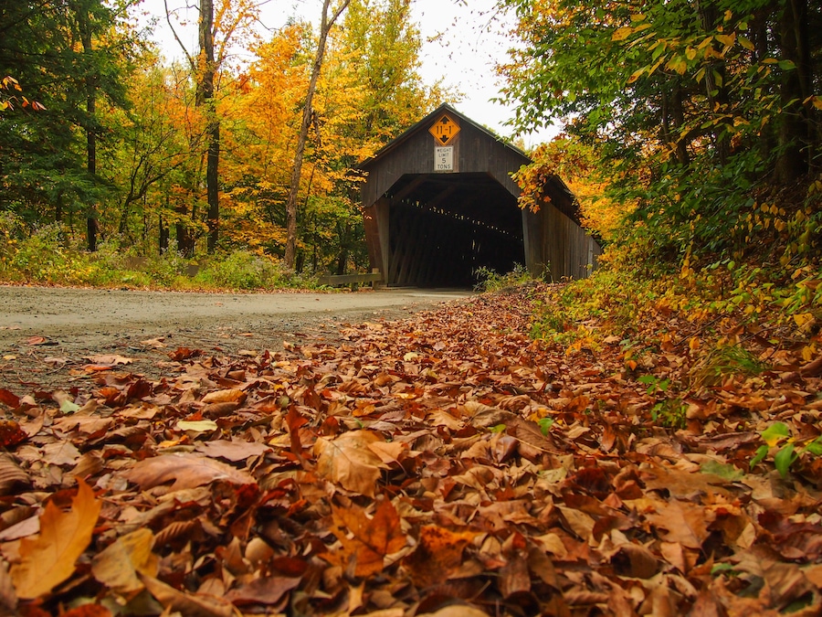 Martins Mill Bridge, Hartland