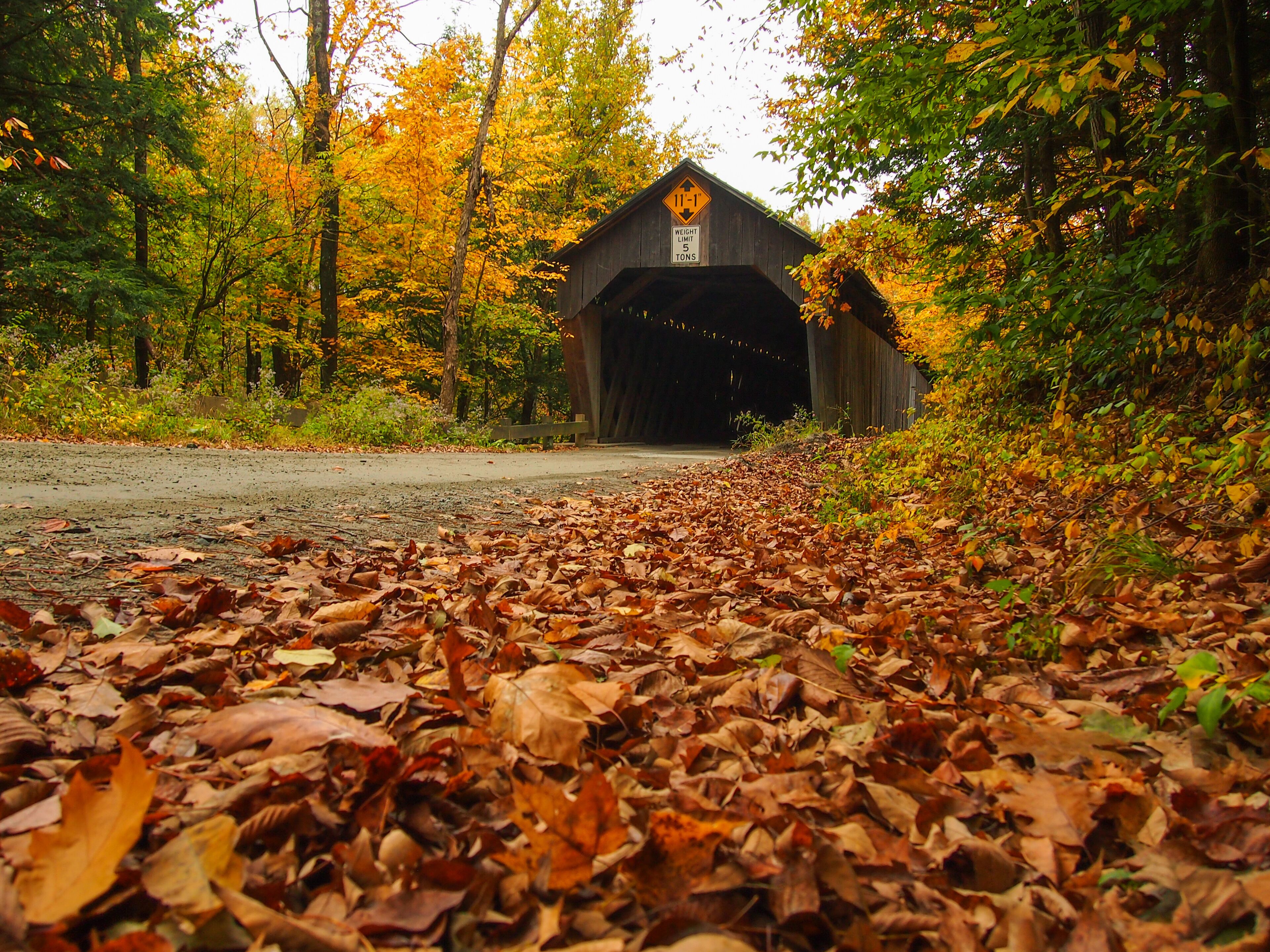 A covered bridge surrounded by autumn foliage.