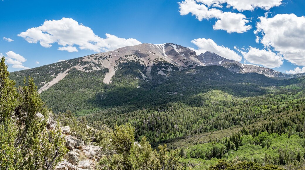 Wheeler Peak at Great Basin National Park, Baker, Nevada, USA