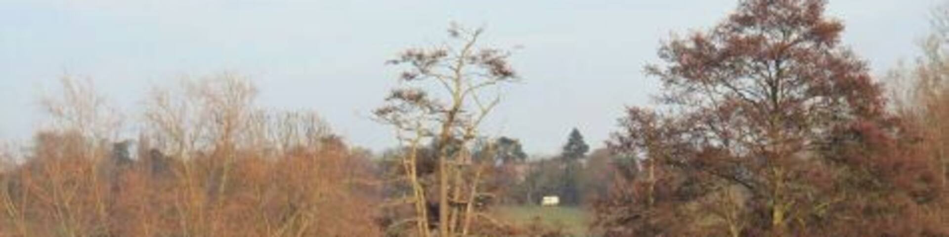 Reflections in the Stour Looking downstream on the River Stour from the road bridge at Dedham.