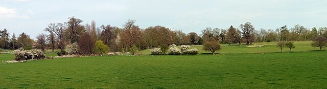 Blackthorn blossom time The view up the side of Dedham Vale towards East Bergholt. Behind the blossoming vegetation are hidden (to the left) the outlines of Stour House (once home to Randolph Churchill) and (to the right) Old Hall (once home to Benedictine nuns and, later, Franciscan friars).