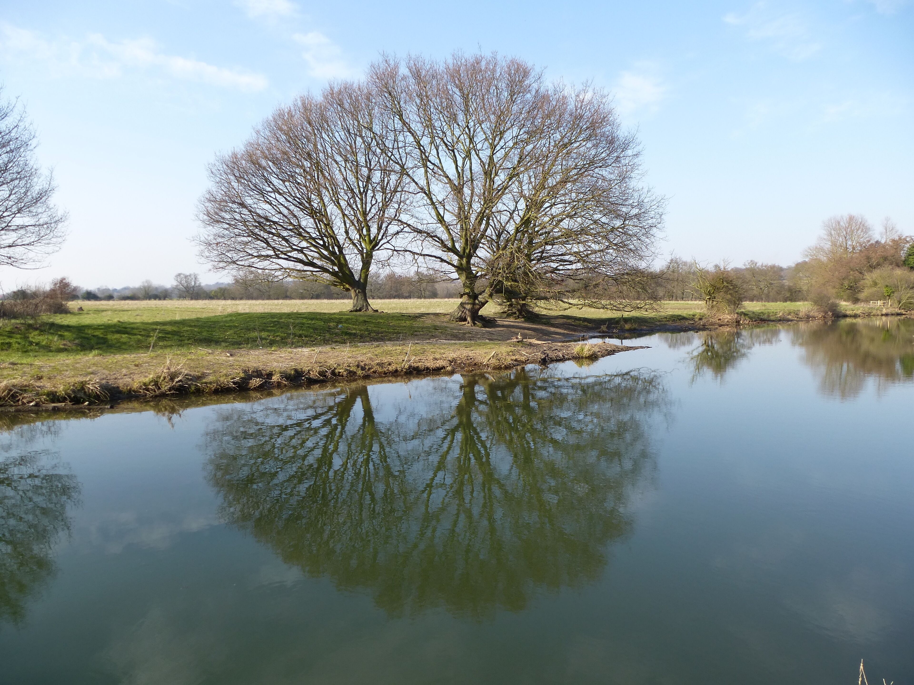A calm river with a large tree reflecting in the water, surrounded by open fields and a clear sky.