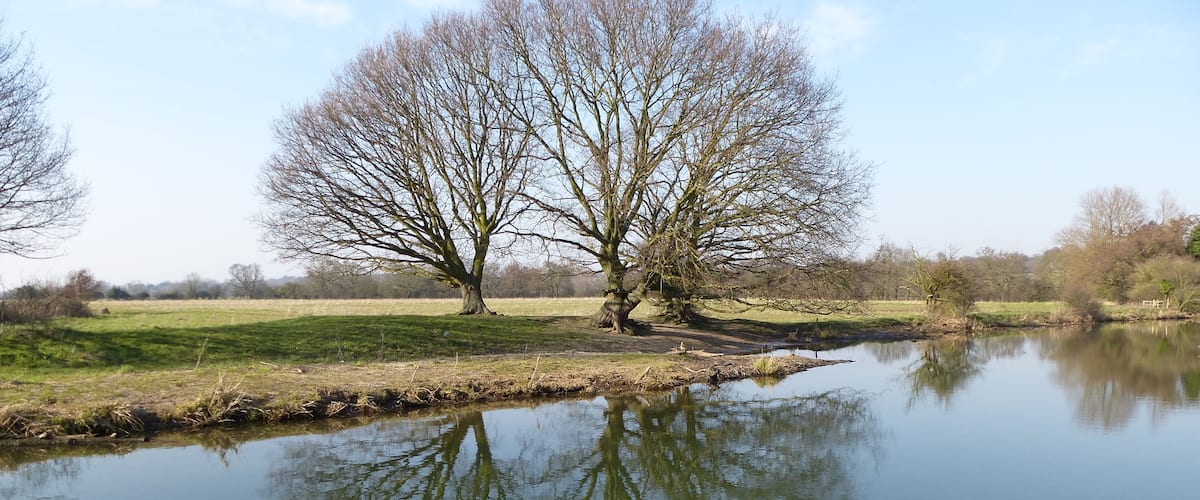 A calm river with a large tree reflecting in the water, surrounded by open fields and a clear sky.