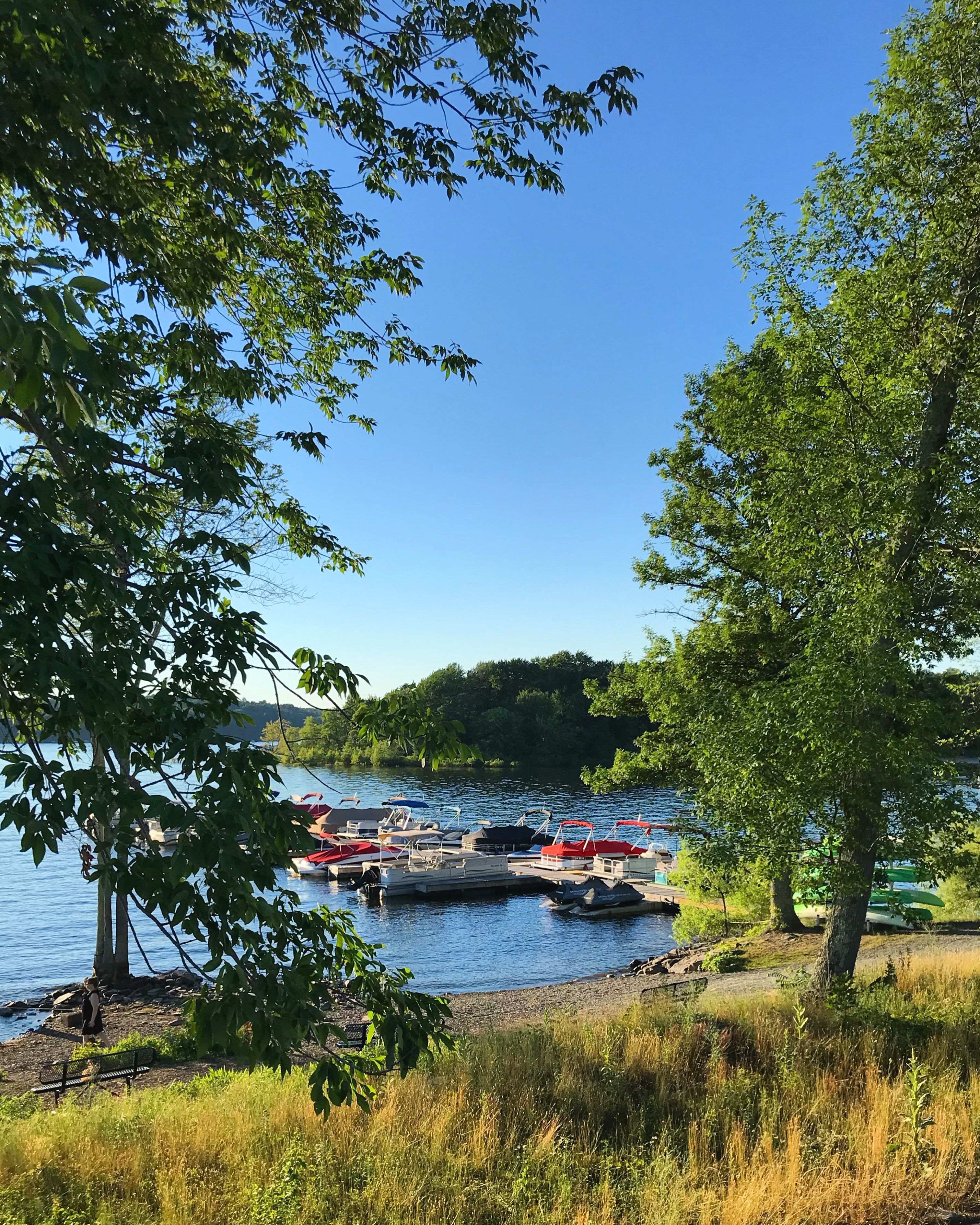 A lakeside view with boats docked, trees, and a clear sky.