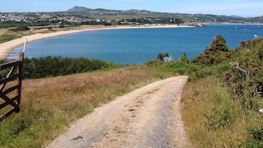 Une route côtière qui mène à une plage, avec un ciel bleu dégagé.