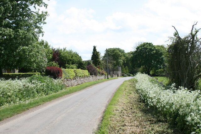 Road through South Lawn