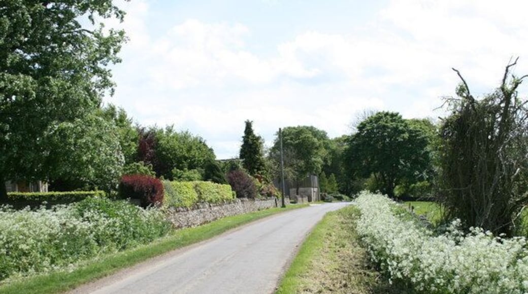 Road through South Lawn