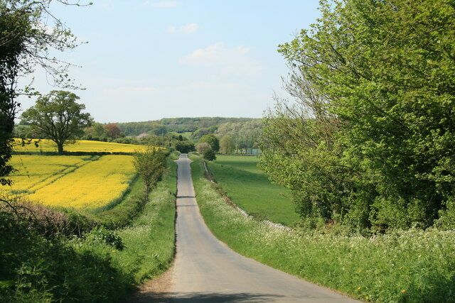 Road from Asthall to Swinbrook