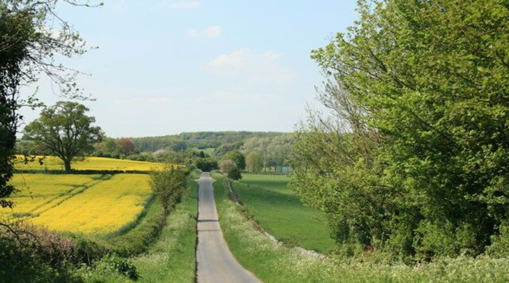 Road from Asthall to Swinbrook