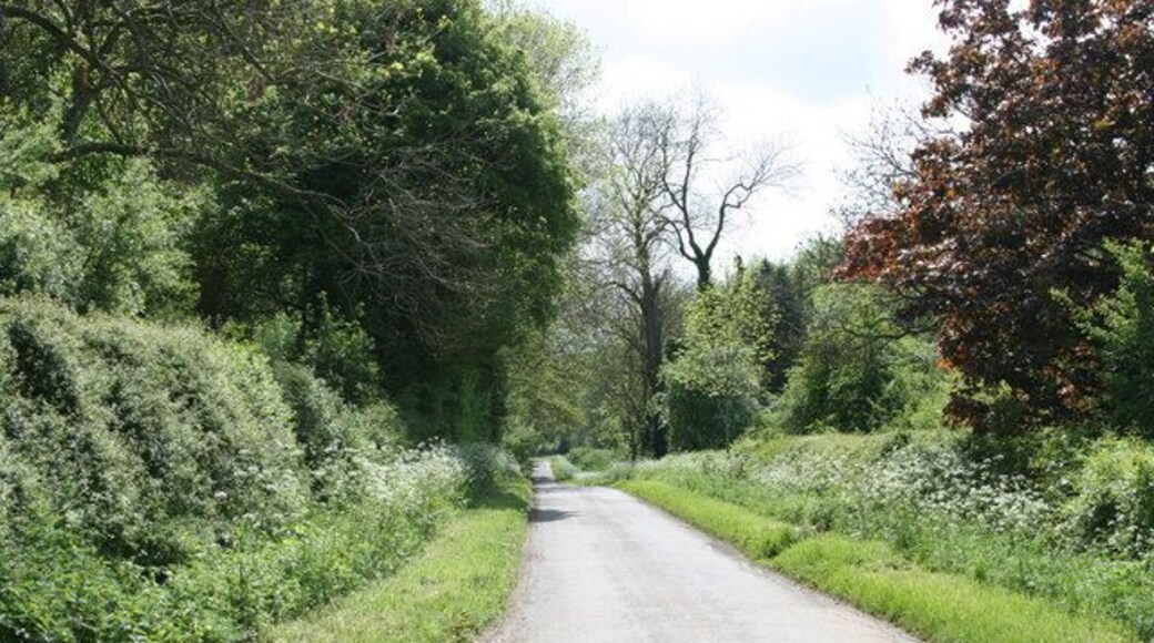 Straight stretch of road Heading from South Lawn to Swinbrook.
