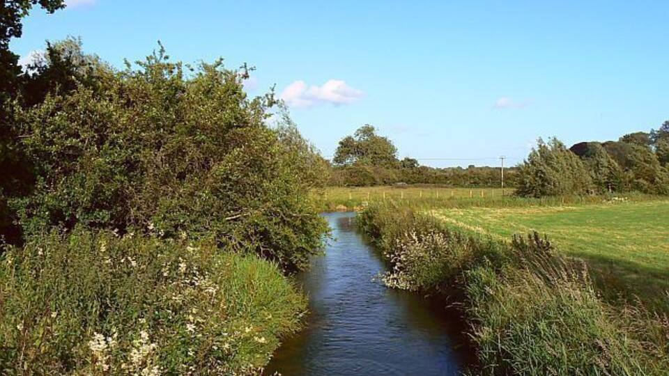 A narrow water channel flanked by dense greenery and a grassy field under a clear sky.