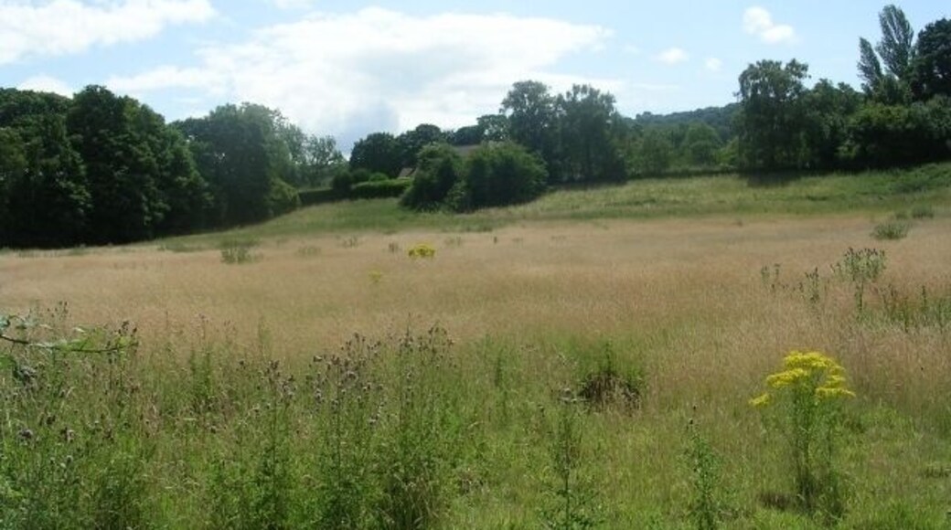 No Play Today! - Former Cricket Pitch - Pool Road