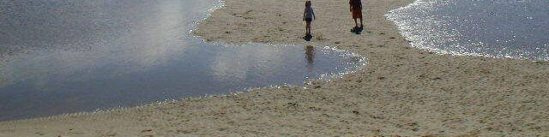 A river with a sandy beach and two people standing on it.