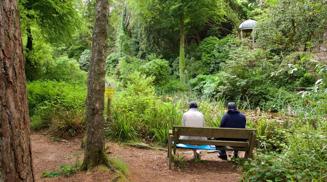 Portmeirion fasiliteter samt hage i tillegg til en liten gruppe med mennesker
