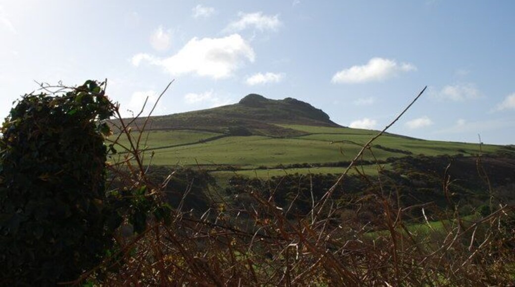 Garn Saethon, near to Rhedyn, Gwynedd, Wales.