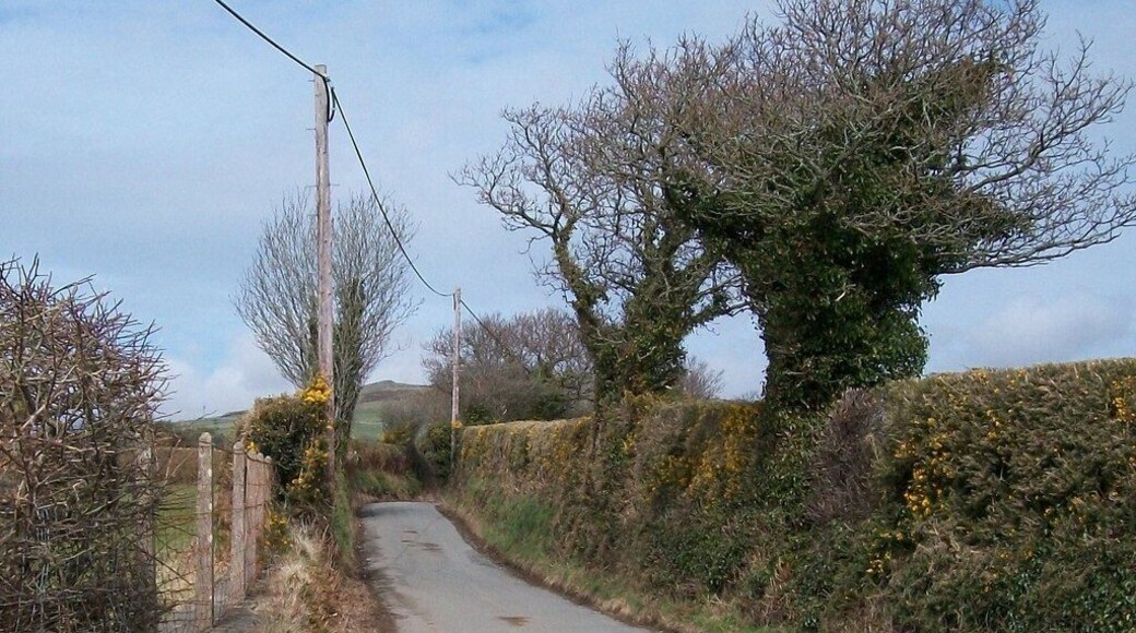 The Llangybi road north of Gwenallt