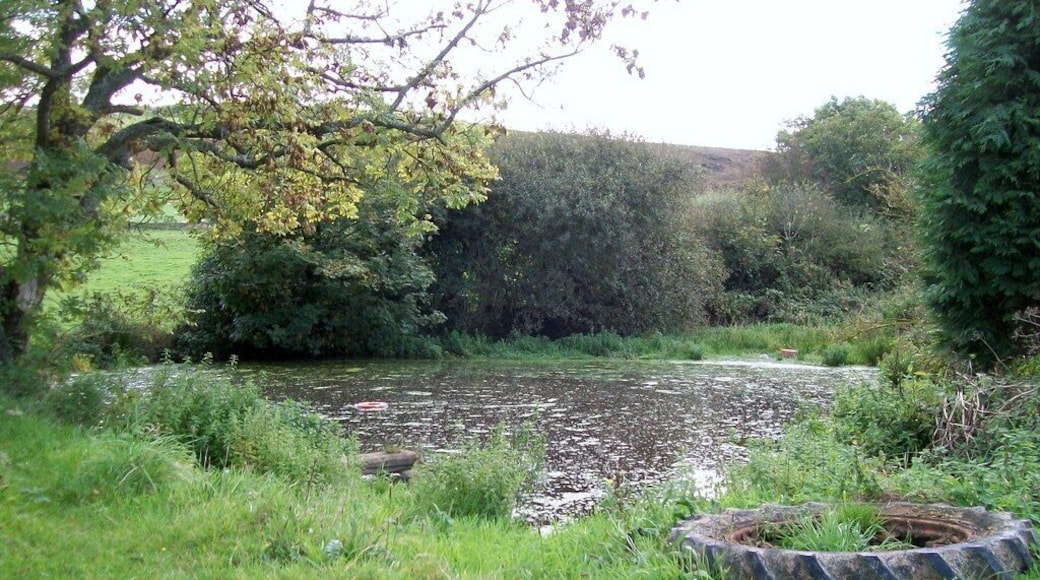 Llyn Corddi, Plas ym Mhenllech