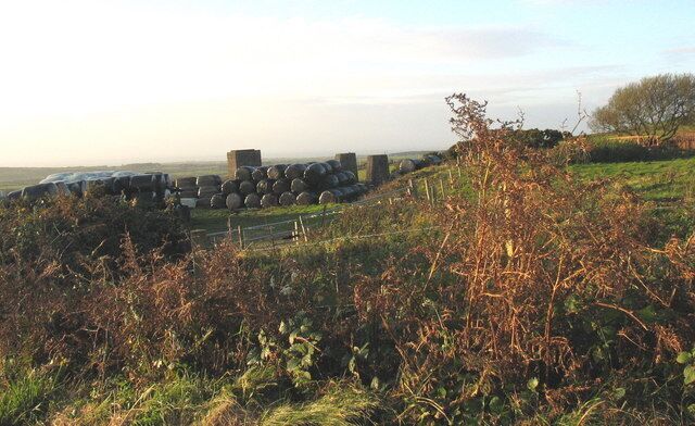 Site of the Ministry of Supply loading bank now used as farm storage yard Ore from the four mines, Banallt, Crown, Ty Canol and Tyddyn Meirion was stored here for loading on lorries during WWII.
