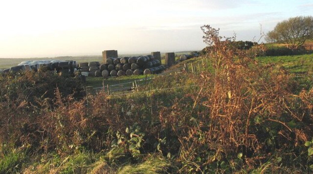 Site of the Ministry of Supply loading bank now used as farm storage yard Ore from the four mines, Banallt, Crown, Ty Canol and Tyddyn Meirion was stored here for loading on lorries during WWII.